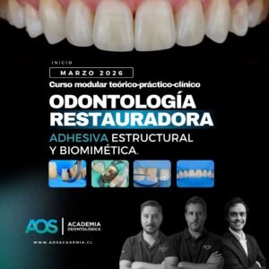 Curso modular teórico-práctico-clínico en Odontología Restauradora Adhesiva estructural y Biomimética.