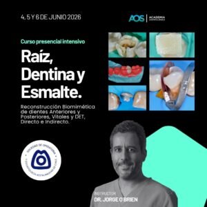 Raíz, Dentina y Esmalte. Reconstrucción Biomimética de dientes Anteriores y posteriores, Vitales y DET, Directo e Indirecto.